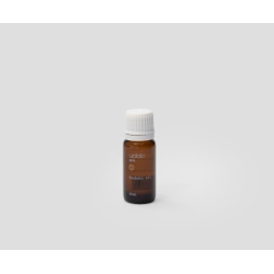 UDDO Olej tsubaki 10ml